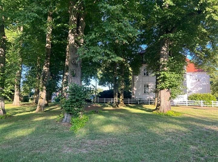 Familienfreundliche Ferienwohnung Mit Wintergarten Badow Exteriör bild